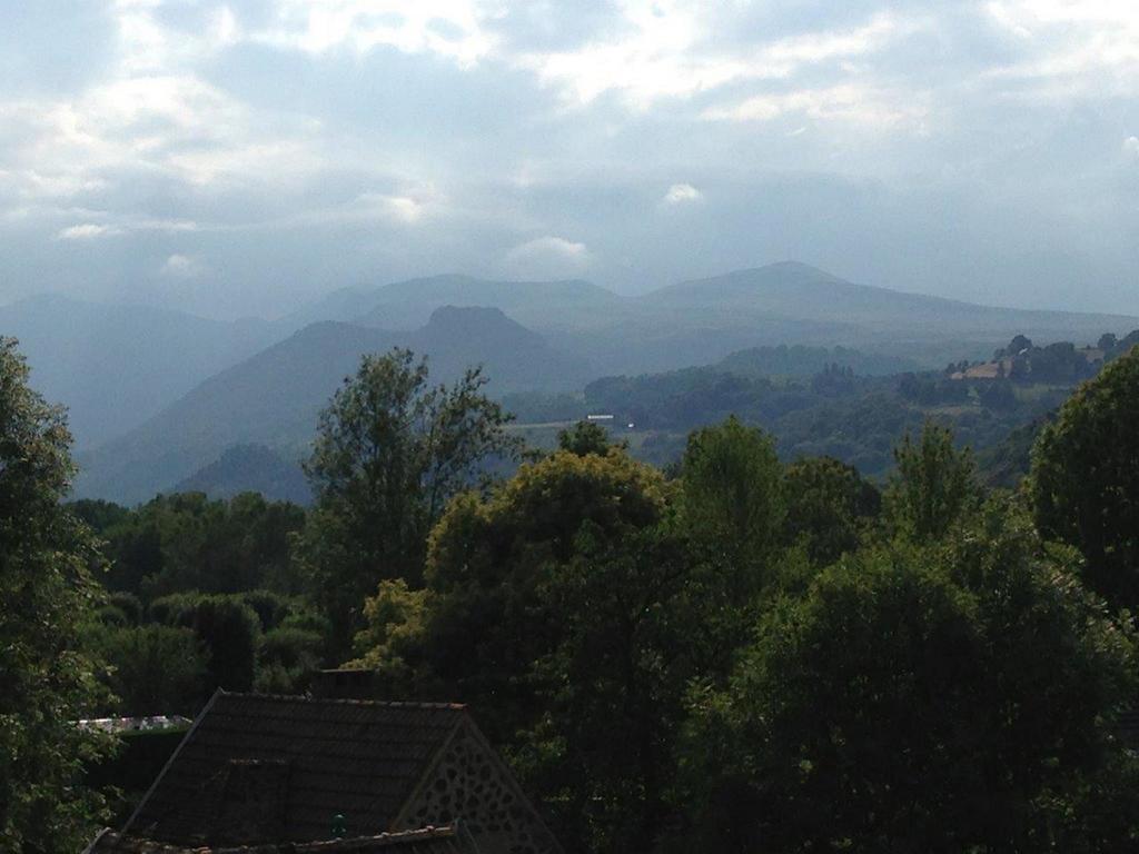 La Vue Sur Le Paradis Chambon-sur-Lac Phòng bức ảnh